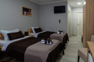 Hotel Protić - Smeštaj