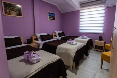 Hotel Protić - Smeštaj Hotel Protić - Smeštaj