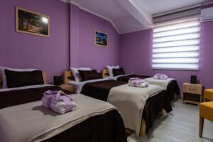 Hotel Protić - Smeštaj
