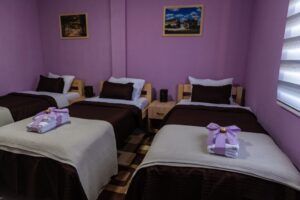 Hotel Protić - Smeštaj