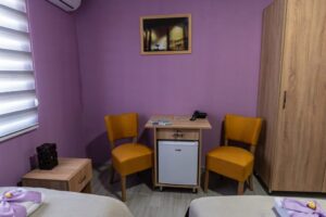 Hotel Protić - Smeštaj