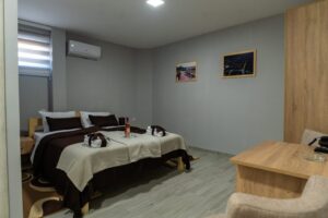 Hotel Protić - Smeštaj