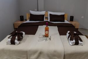 Hotel Protić - Smeštaj