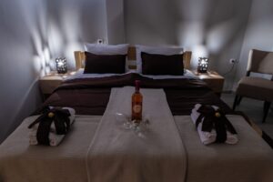 Hotel Protić - Smeštaj