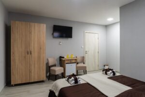 Hotel Protić - Smeštaj