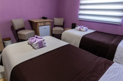 Hotel Protić - Smeštaj Hotel Protić - Smeštaj